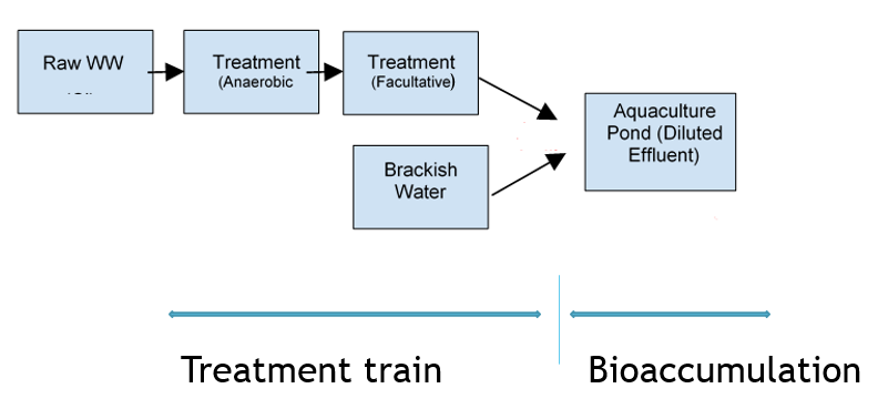 Aquaculture case study for Wiki RISK MODEL Figure1.PNG